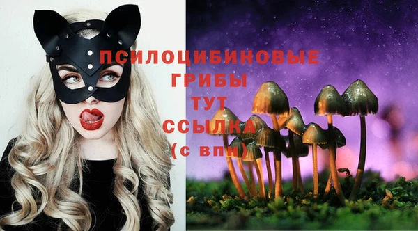 mix Алексеевка