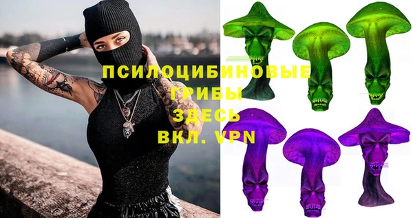 ALPHA PVP Алексин