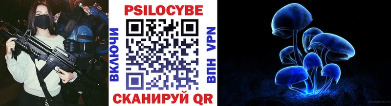 хочу наркоту  Артёмовск  omg ссылки  Псилоцибиновые грибы мухоморы 